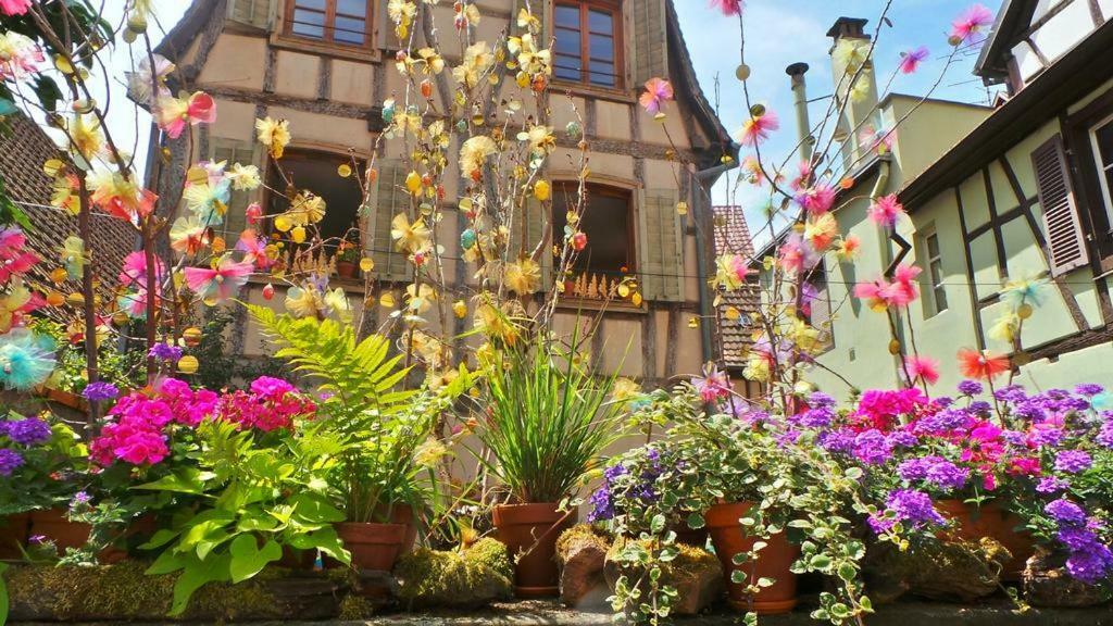 La Maison Des Tanneurs 리보빌레 외부 사진